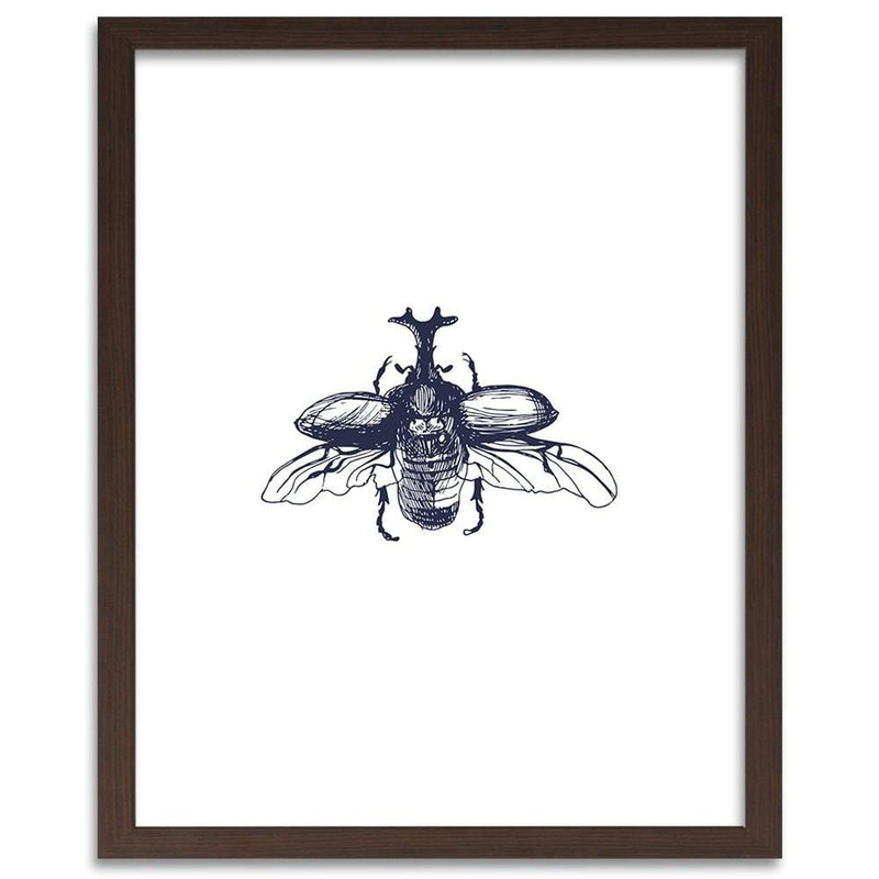 Glezna brūnā rāmī - Flying Beetle  Home Trends DECO