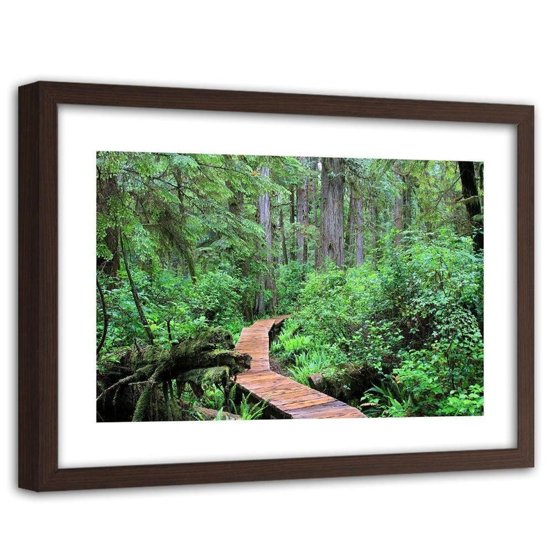 Glezna brūnā rāmī - Footbridge In The Forest  Home Trends DECO