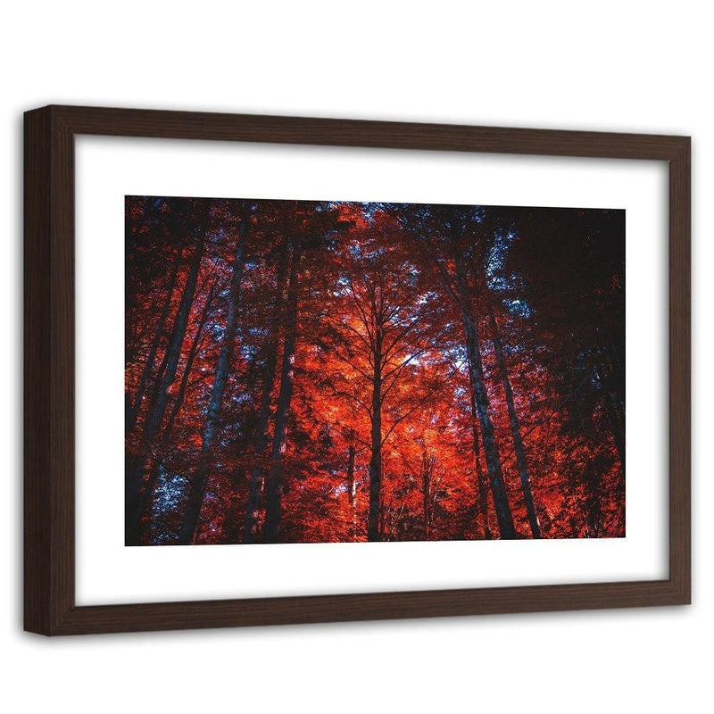 Glezna brūnā rāmī - Forest In The Light Of The Setting Sun  Home Trends DECO