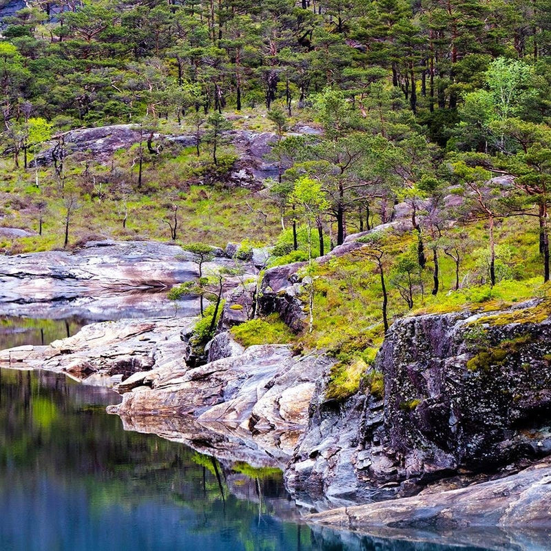 Glezna brūnā rāmī - Forest On A Mountain Lake  Home Trends DECO