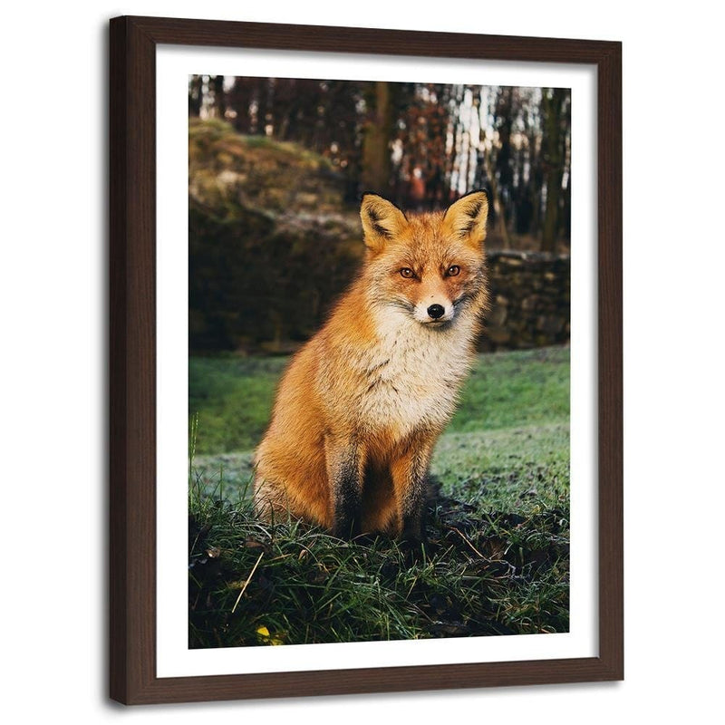 Glezna brūnā rāmī - Fox In The Woods  Home Trends DECO