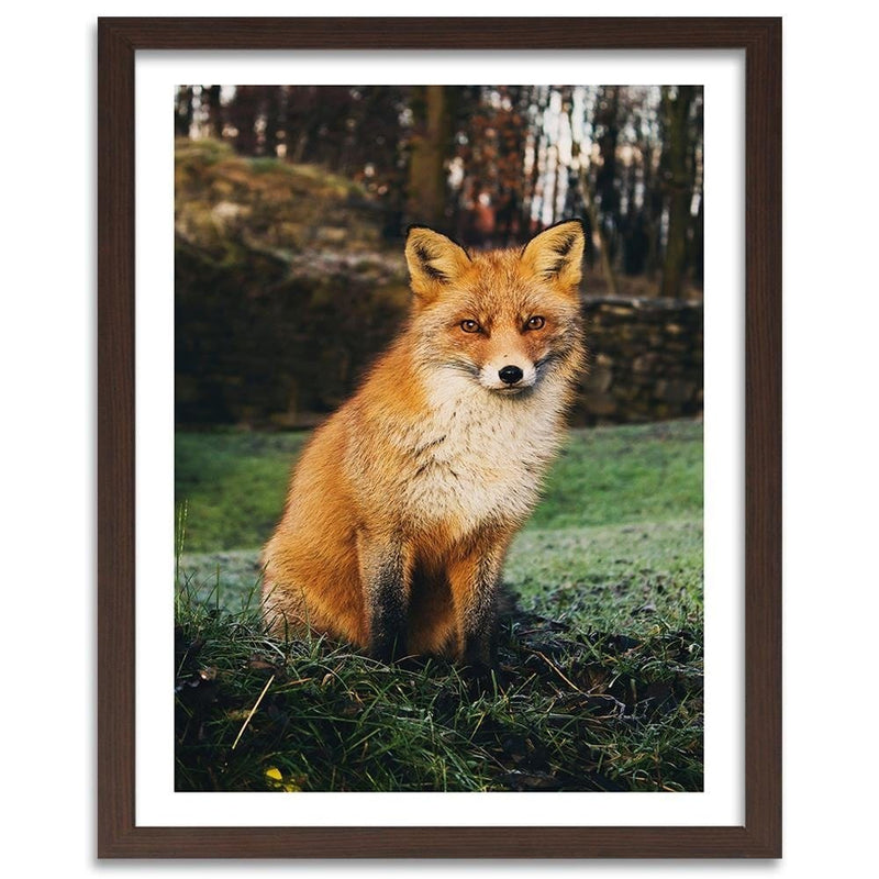 Glezna brūnā rāmī - Fox In The Woods  Home Trends DECO