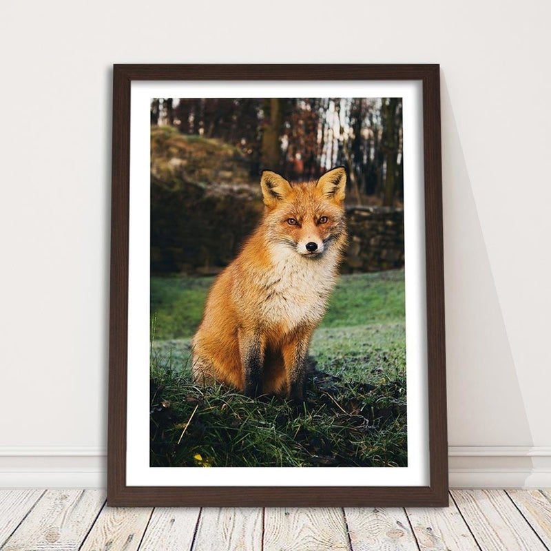 Glezna brūnā rāmī - Fox In The Woods  Home Trends DECO