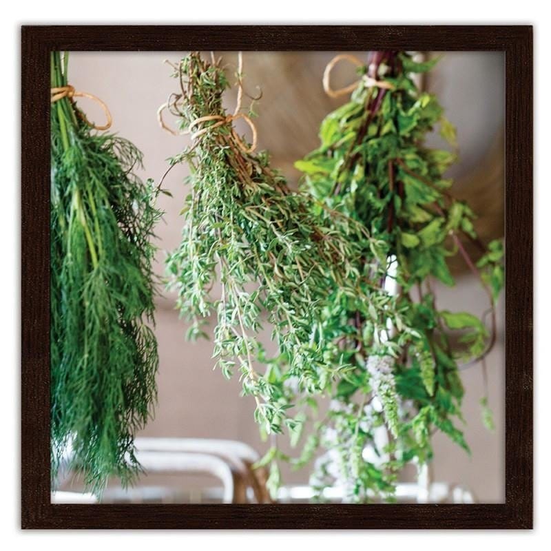 Glezna brūnā rāmī - Fresh herbs 2  Home Trends DECO