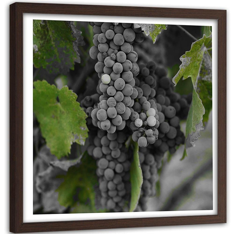 Glezna brūnā rāmī - Grapes 2  Home Trends DECO