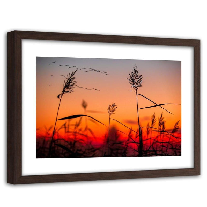 Glezna brūnā rāmī - Grass At Sunset  Home Trends DECO