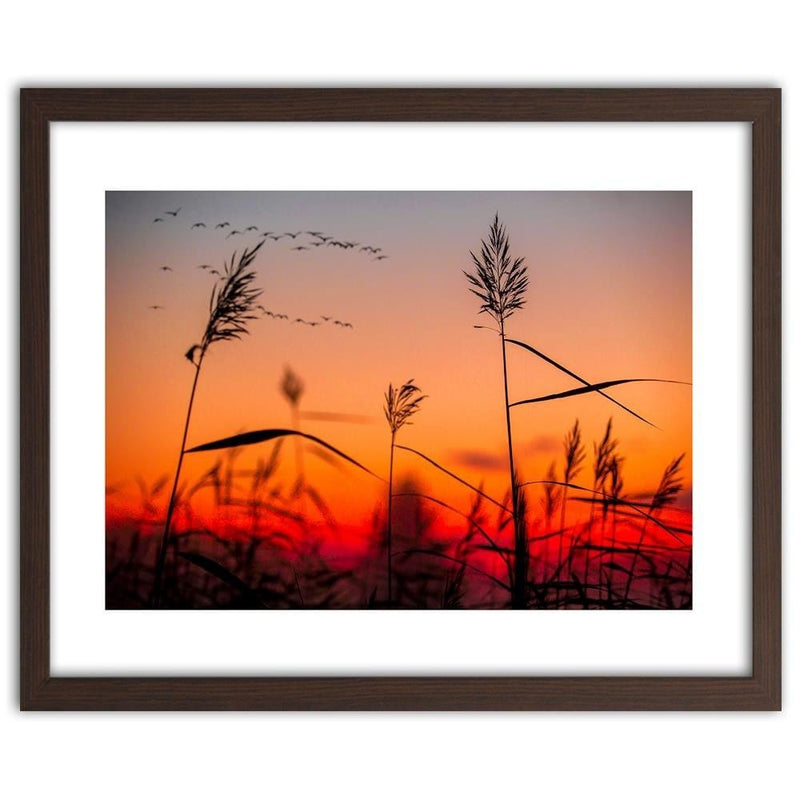 Glezna brūnā rāmī - Grass At Sunset  Home Trends DECO