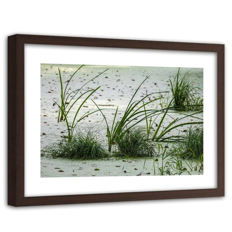 Glezna brūnā rāmī - Grass On The Beach  Home Trends DECO