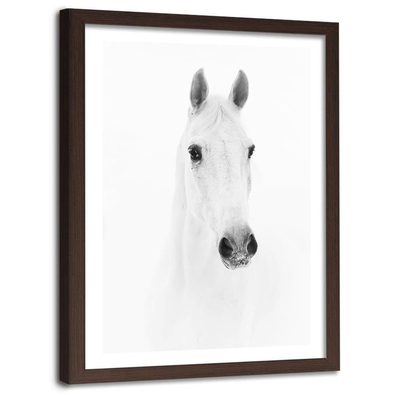 Glezna brūnā rāmī - Gray Horse  Home Trends DECO