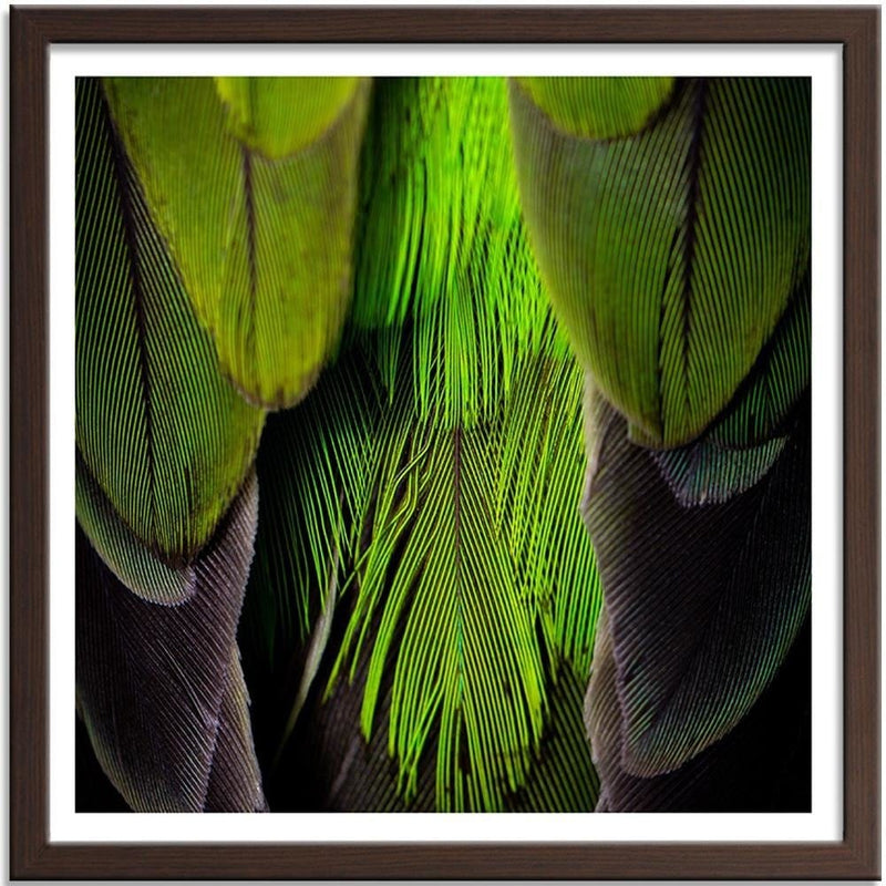 Glezna brūnā rāmī - Green Feathers  Home Trends DECO