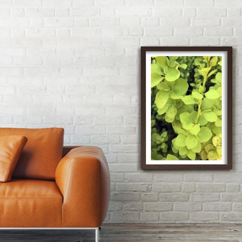 Glezna brūnā rāmī - Green Plant  Home Trends DECO