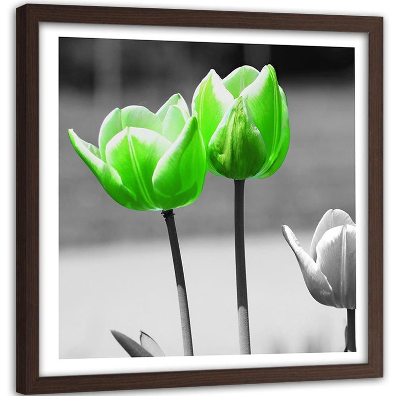 Glezna brūnā rāmī - Green Poppies In Gray  Home Trends DECO