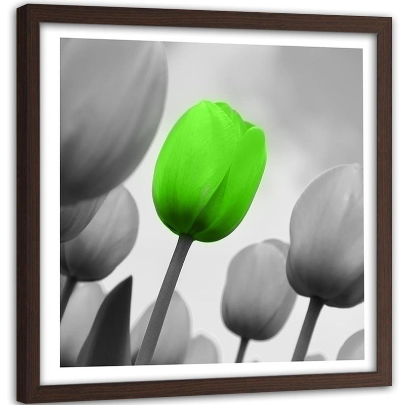 Glezna brūnā rāmī - Green Poppy Flower  Home Trends DECO