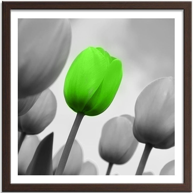 Glezna brūnā rāmī - Green Poppy Flower  Home Trends DECO