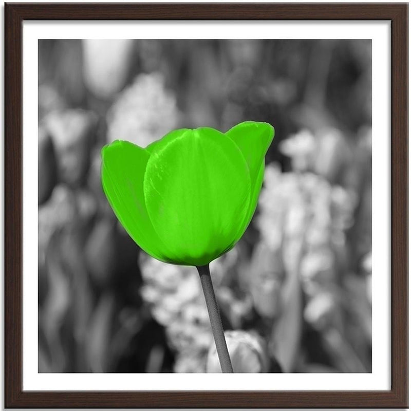 Glezna brūnā rāmī - Green Poppy Meadow  Home Trends DECO