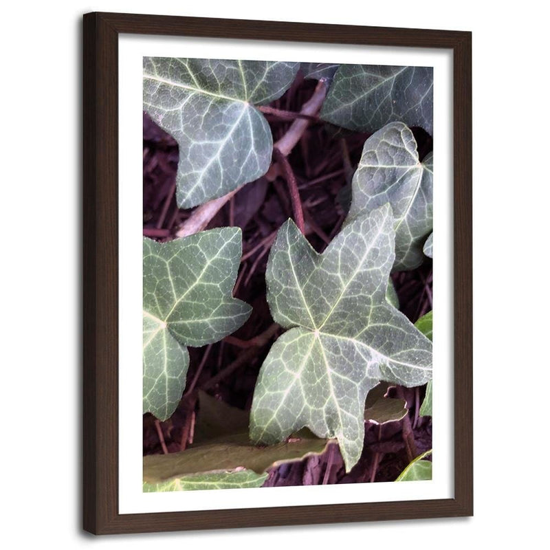 Glezna brūnā rāmī - Ivy Leaves  Home Trends DECO