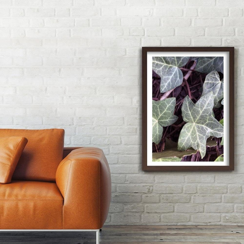 Glezna brūnā rāmī - Ivy Leaves  Home Trends DECO