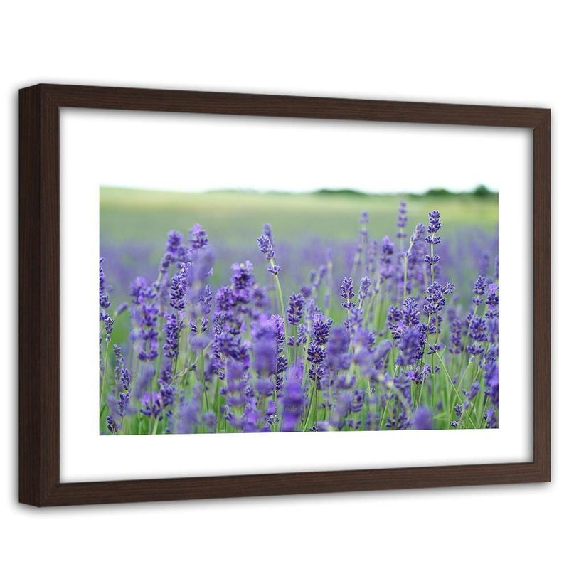 Glezna brūnā rāmī - Lavender Fields  Home Trends DECO