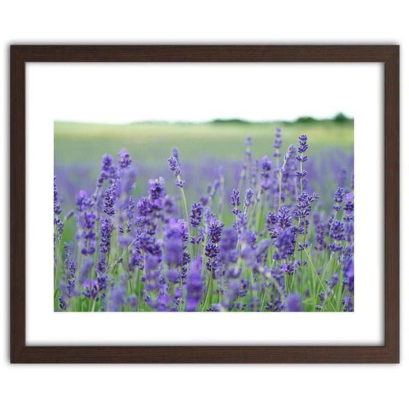 Glezna brūnā rāmī - Lavender Fields  Home Trends DECO