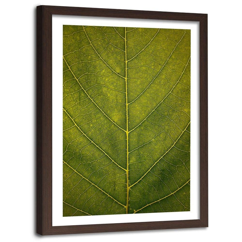 Glezna brūnā rāmī - Leaf Close Up  Home Trends DECO