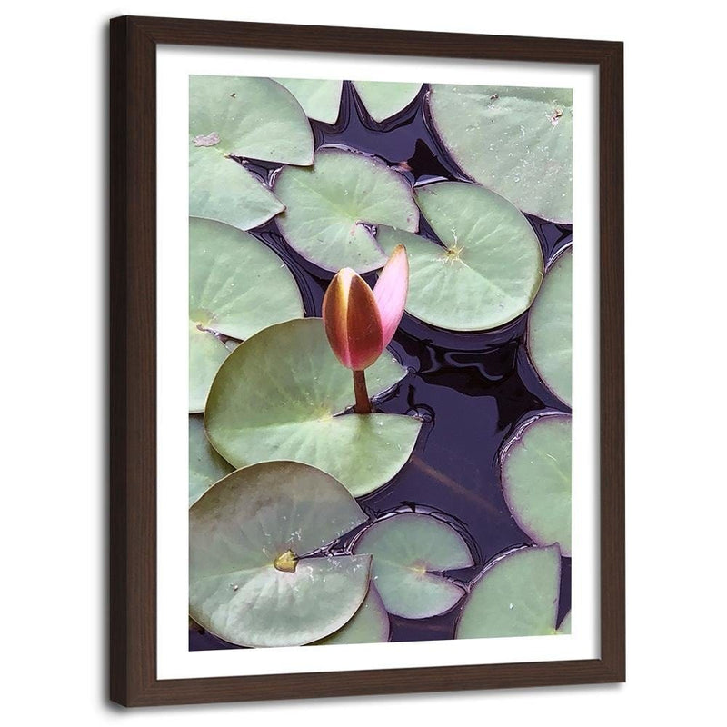 Glezna brūnā rāmī - Leaves Of Water Lilies  Home Trends DECO