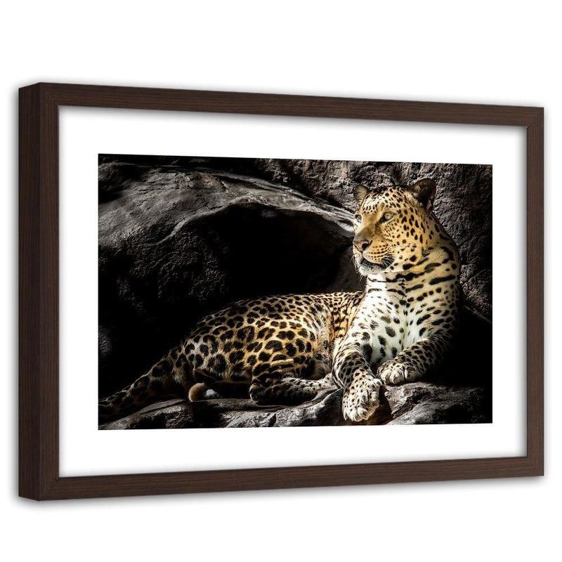 Glezna brūnā rāmī - Leopard On The Rocks  Home Trends DECO