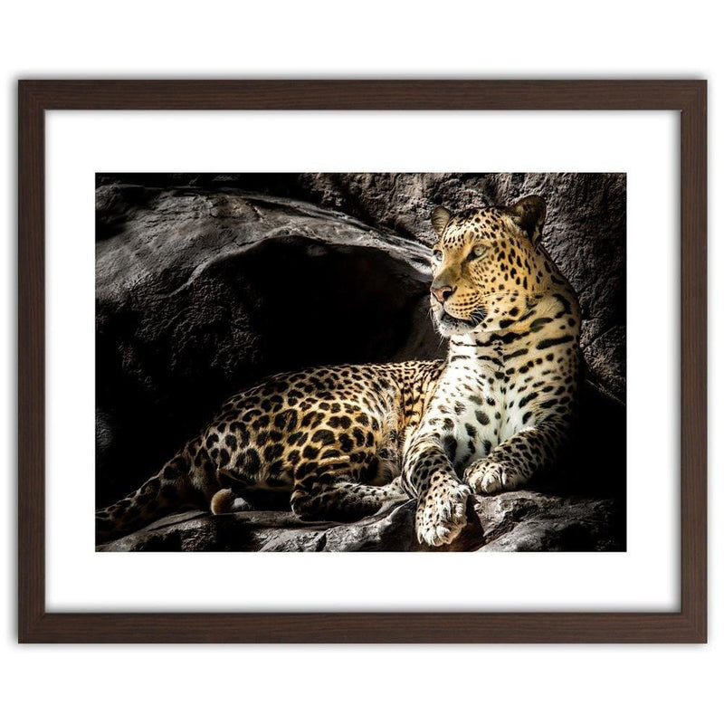 Glezna brūnā rāmī - Leopard On The Rocks  Home Trends DECO