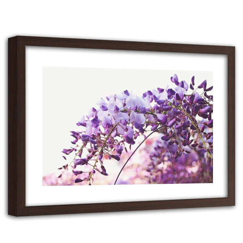 Glezna brūnā rāmī - Lilac Wisteria Flowers  Home Trends DECO