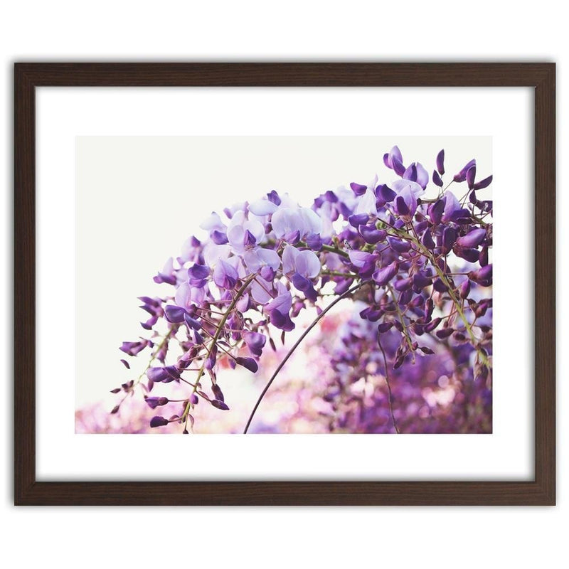 Glezna brūnā rāmī - Lilac Wisteria Flowers  Home Trends DECO