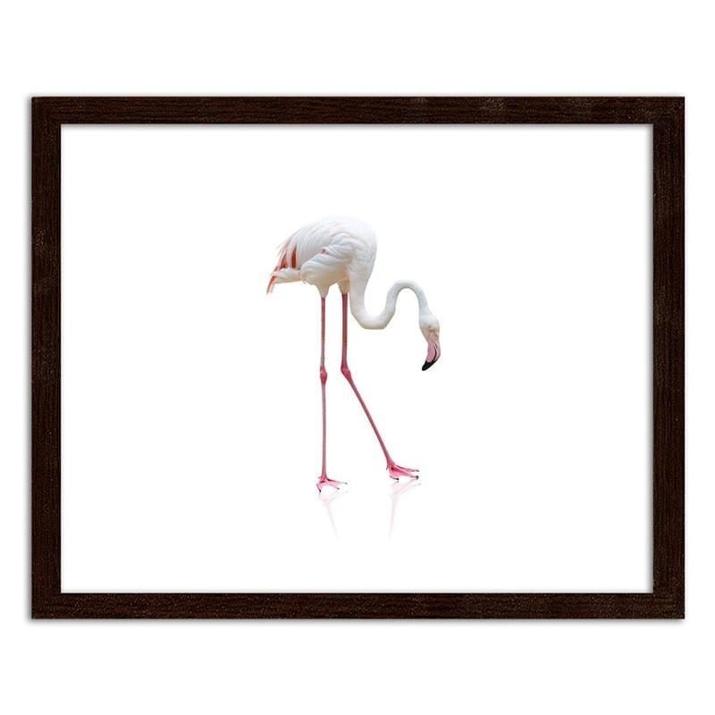 Glezna brūnā rāmī - Lonely flamingo  Home Trends DECO