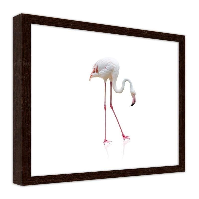 Glezna brūnā rāmī - Lonely flamingo  Home Trends DECO