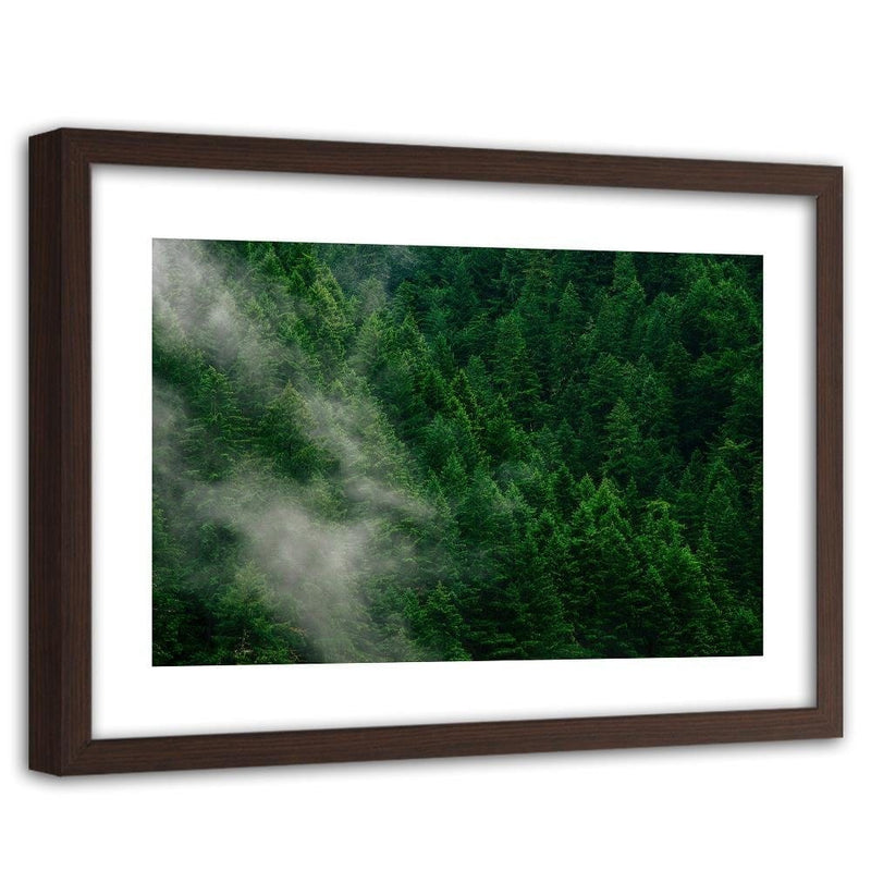 Glezna brūnā rāmī - Mist Over The Forest  Home Trends DECO