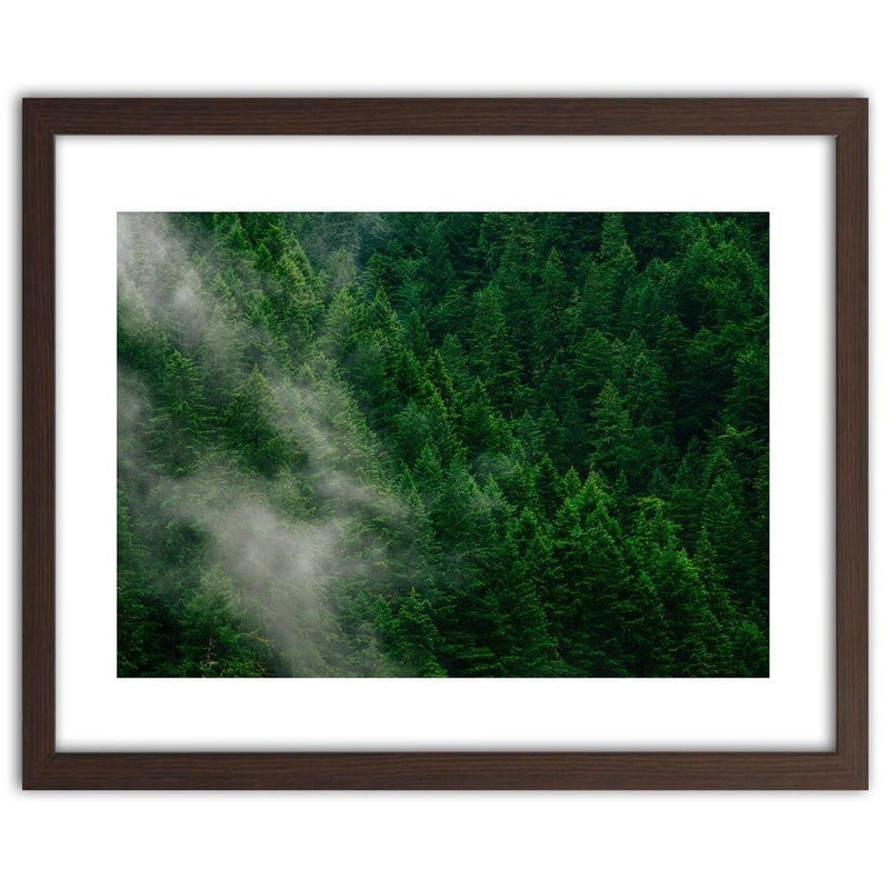 Glezna brūnā rāmī - Mist Over The Forest  Home Trends DECO