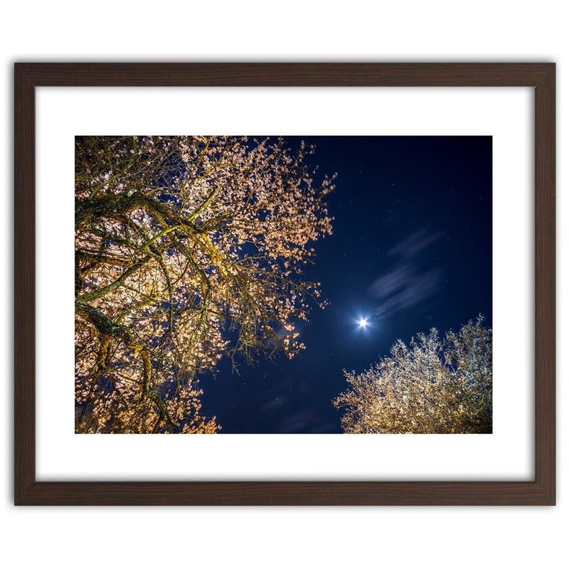 Glezna brūnā rāmī - Moon Over Trees  Home Trends DECO