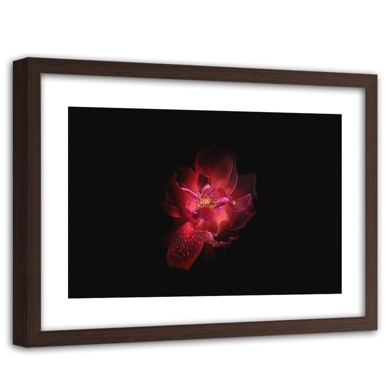 Glezna brūnā rāmī - Night Flower  Home Trends DECO