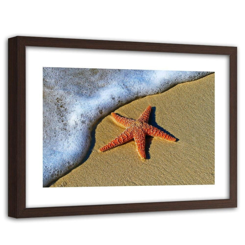 Glezna brūnā rāmī - Orange Starfish  Home Trends DECO