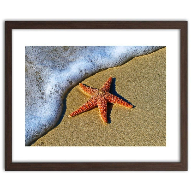 Glezna brūnā rāmī - Orange Starfish  Home Trends DECO