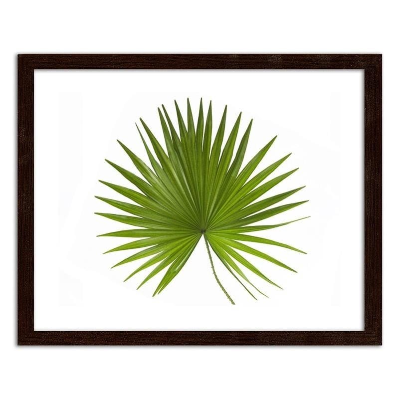 Glezna brūnā rāmī - Palm leaf  Home Trends DECO