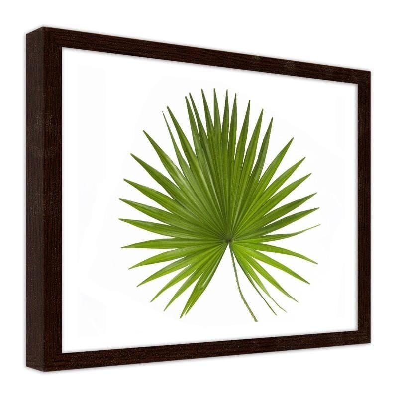 Glezna brūnā rāmī - Palm leaf  Home Trends DECO