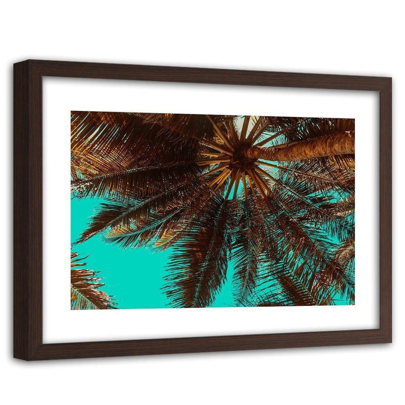 Glezna brūnā rāmī - Palm Tree On A Turquoise Sky  Home Trends DECO