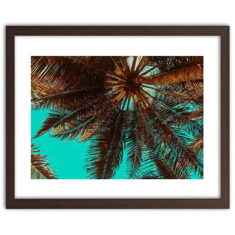 Glezna brūnā rāmī - Palm Tree On A Turquoise Sky  Home Trends DECO