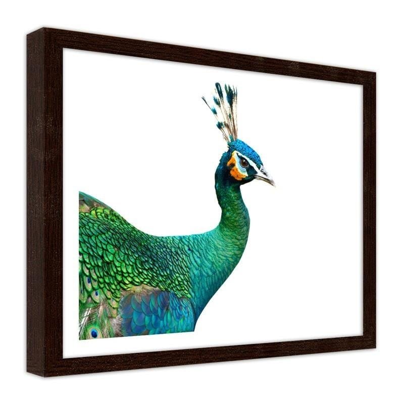 Glezna brūnā rāmī - Peacock head  Home Trends DECO