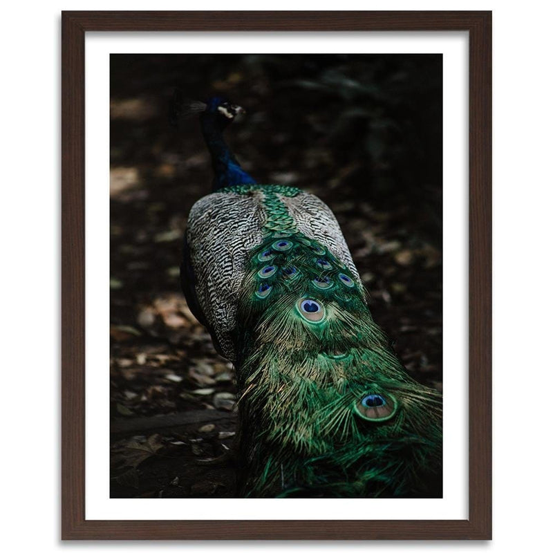 Glezna brūnā rāmī - Peacock's Tail  Home Trends DECO