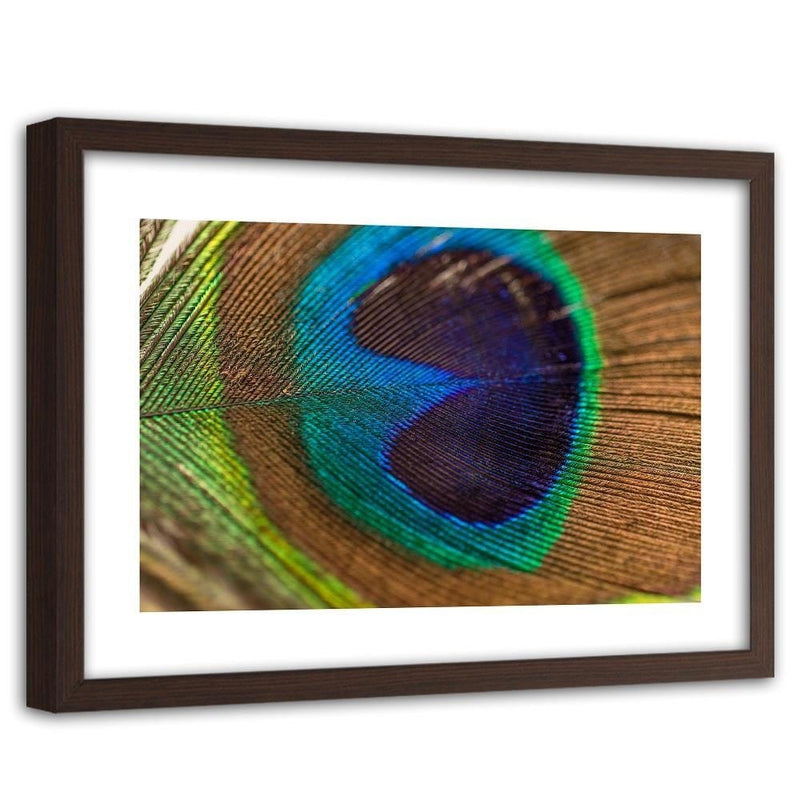 Glezna brūnā rāmī - Peacocks Eye  Home Trends DECO