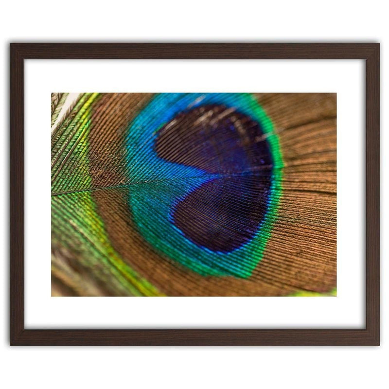 Glezna brūnā rāmī - Peacocks Eye  Home Trends DECO