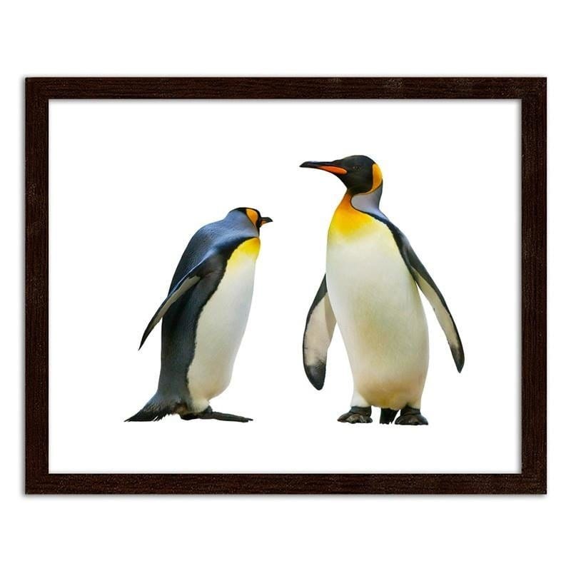 Glezna brūnā rāmī - Penguins  Home Trends DECO