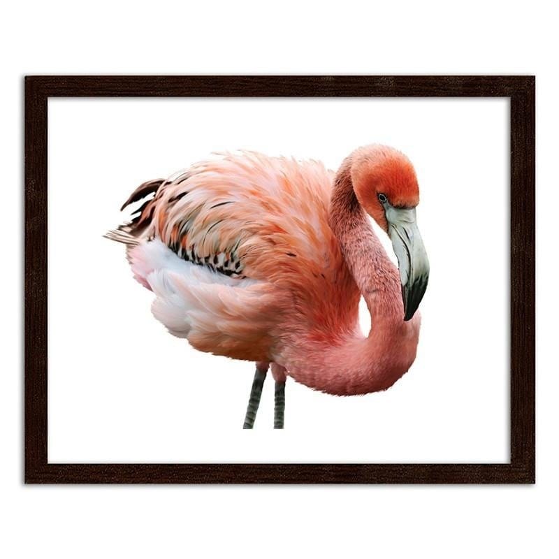 Glezna brūnā rāmī - Pink flamingo  Home Trends DECO