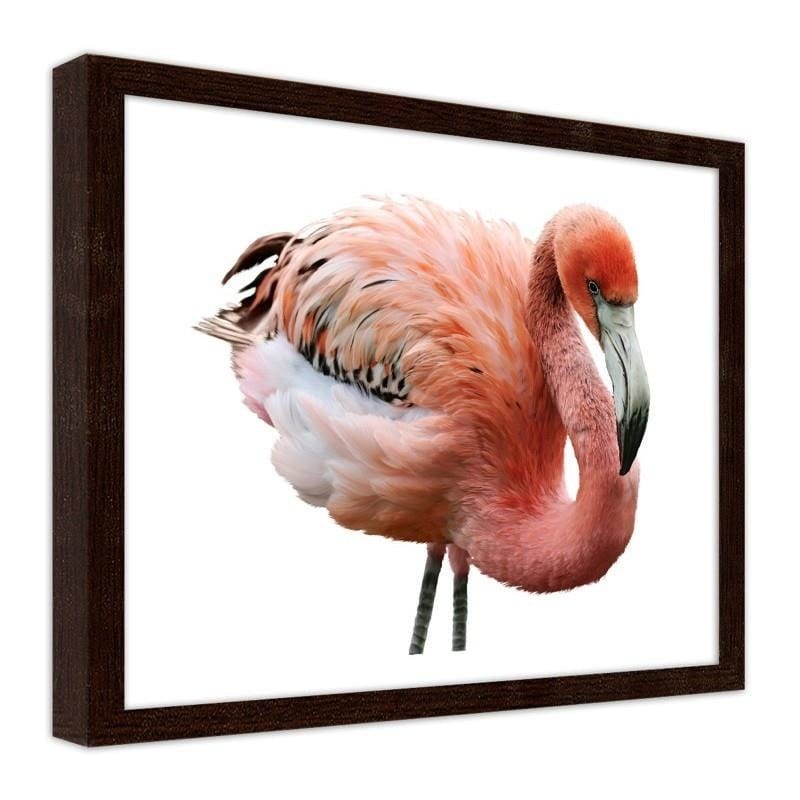 Glezna brūnā rāmī - Pink flamingo  Home Trends DECO