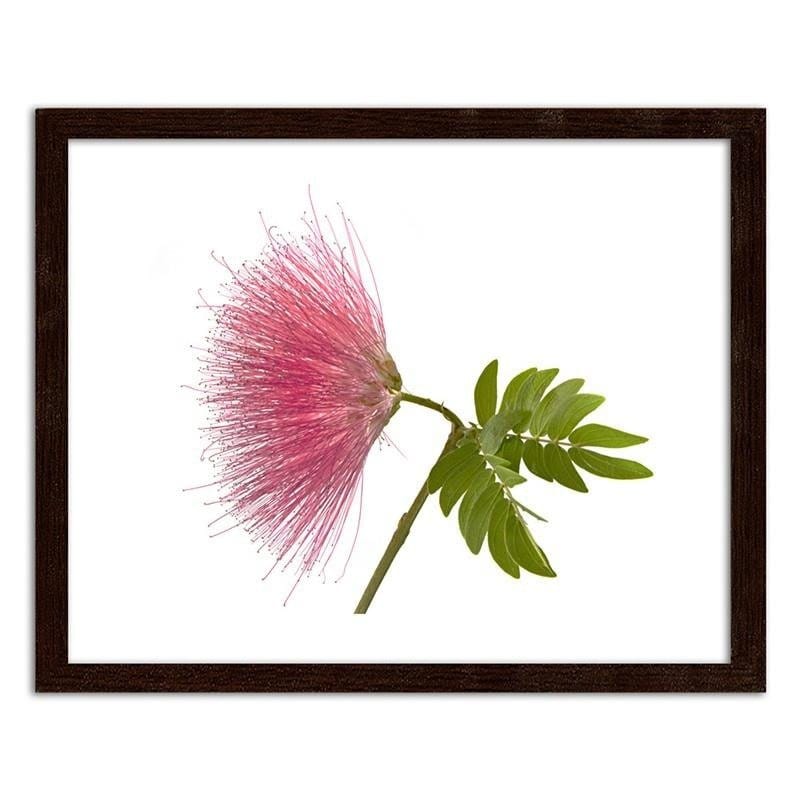 Glezna brūnā rāmī - Pink flower 2  Home Trends DECO