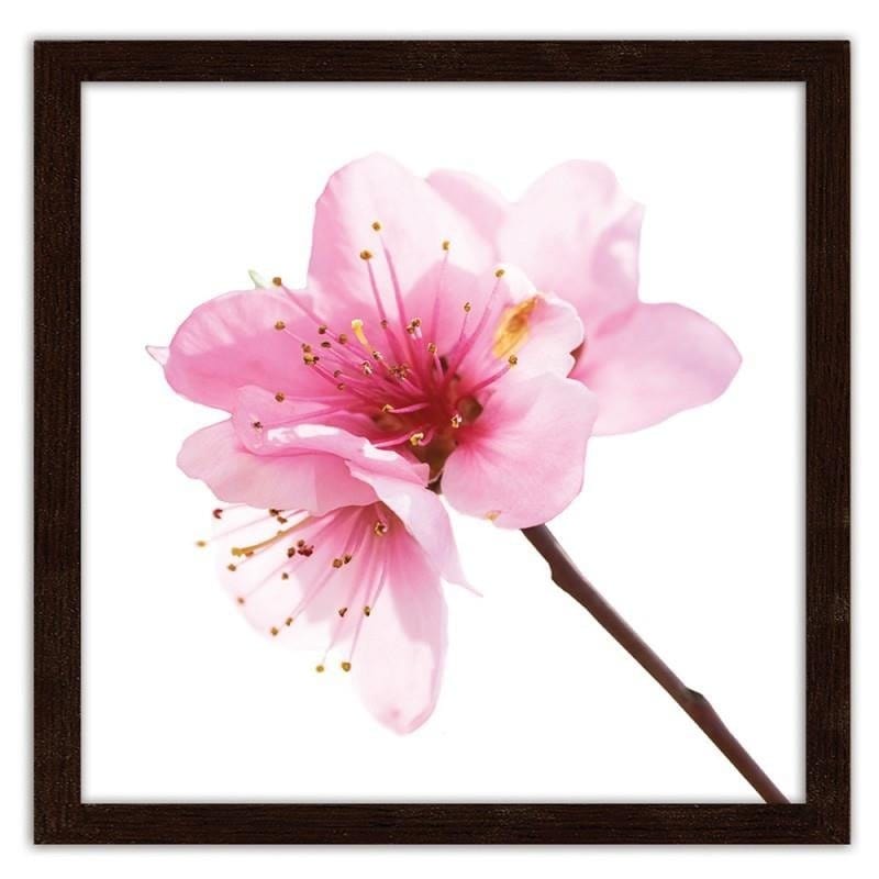 Glezna brūnā rāmī - Pink flower 3  Home Trends DECO